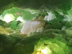 -湖南省地质博物馆