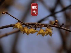 -月坛公园
