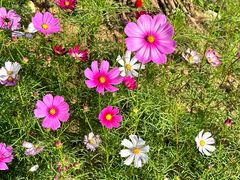 -三亚南山文化旅游区