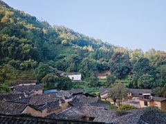 -杨家堂村