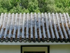 -四海公园(南山区)