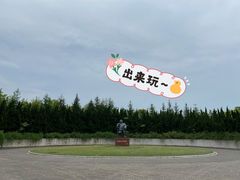 -上海海湾国家森林公园