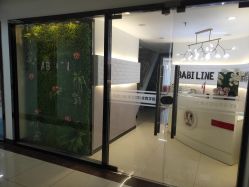 -babiline芭比莱恩半永久纹眉纹唇发际线