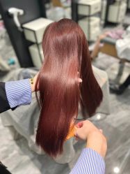 -藤野造型