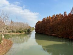 -上海海湾国家森林公园