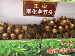 -蒋氏故居