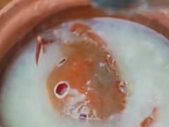 来嘉升吃肥美海鲜-嘉升大排档(番禺总店)