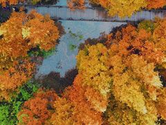 -桤木河湿地公园