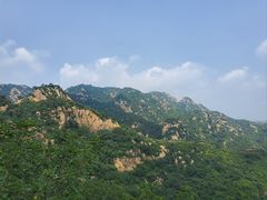 -大岭沟猕猴桃谷风景区