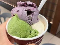-中关村茶点