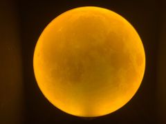 -深圳独角兽星空艺术馆