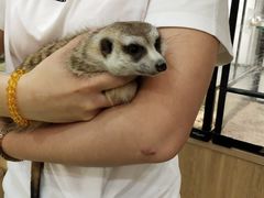 -藦茜花园宠物主题亲子互动体验馆(国顺东路店)