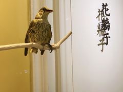 -城南往事(滨江世茂店)