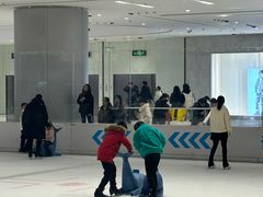 -TheRink大零溜冰场(IFS国金中心店)