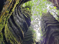 -梭布垭石林景区