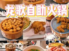 -龍歌自助小火锅(市南金茂湾店)