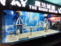 -成都浩海立方海洋公园