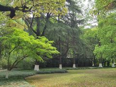 -上海大学(嘉定校区)