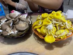 -仙蘑洞