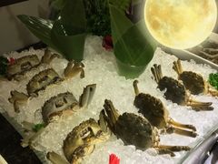 -海底捞火锅(连城广场店)