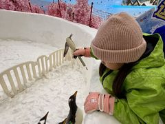 -广州热雪奇迹
