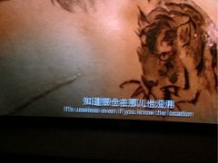 幸福蓝海国际影城-幸福蓝海国际影城(兴化海德店)