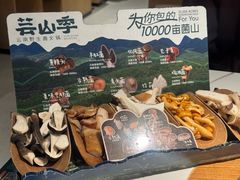 -芸山季·云南山珍菌火锅(南翔印象城MEGA店)