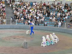 -石家庄市动物园