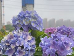 -耕渔小院·湖南鱼鲜(望城店)