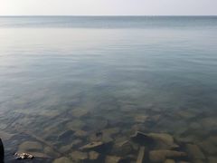 -东方绿舟景区