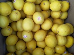 -岳各庄批发市场(西四环中路店)