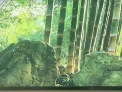 -蓉城小馆(科兴店)