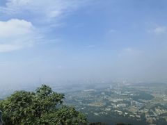 -紫金山山顶公园