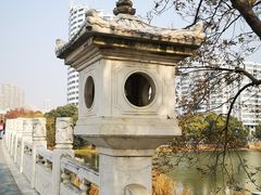 -放鹰台遗址