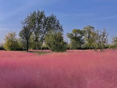 -汉长安城未央宫国家考古遗址公园