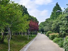 -阳澄湖半岛旅游度假区
