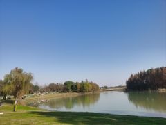 -贡湖湾湿地公园