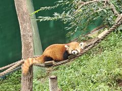 -大连森林动物园