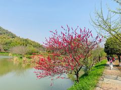 -金钉子远古世界景区