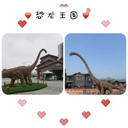 -恐龙探索乐园(磁器口店)
