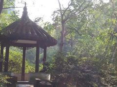 -墅园