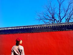 -历代帝王庙博物馆