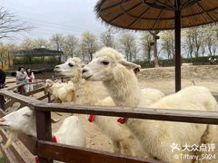 -盈香心动乐园
