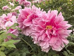-河南省黄河迎宾馆