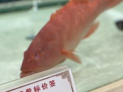 -苏州吴中白金汉爵大酒店