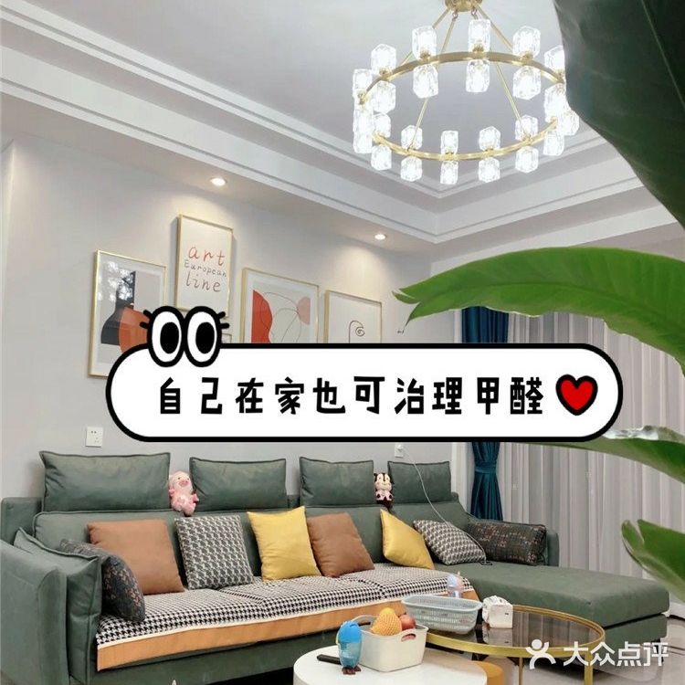 自己在家也可治理甲醛