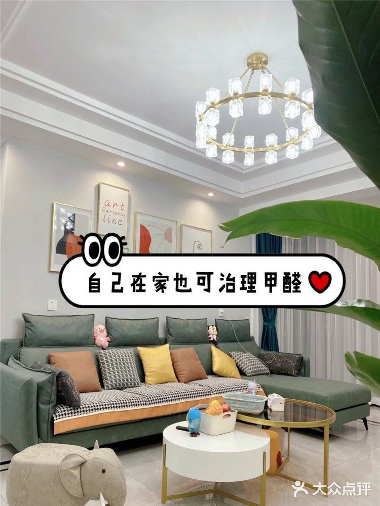 自己在家也可治理甲醛