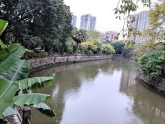 -晓港公园