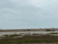 -启东黄金海滩景区