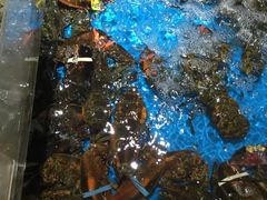 -徐记海鲜(大雁塔|金都店)